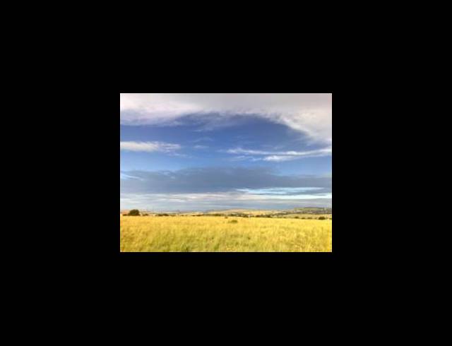 FARM FOR SALE IN STERKFONTEIN